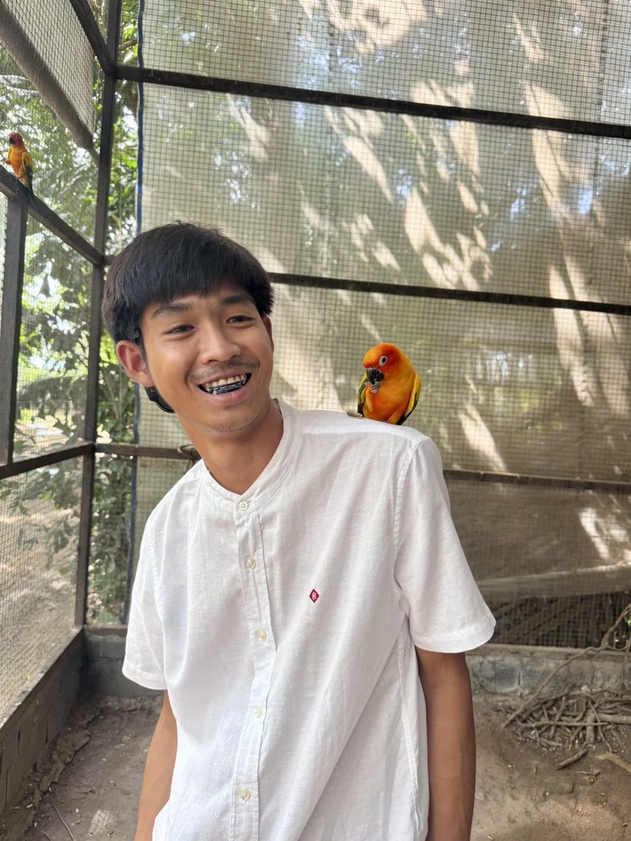 NTTT120's tweet photo. 🦜 https://t.co/EyJQBv48dq