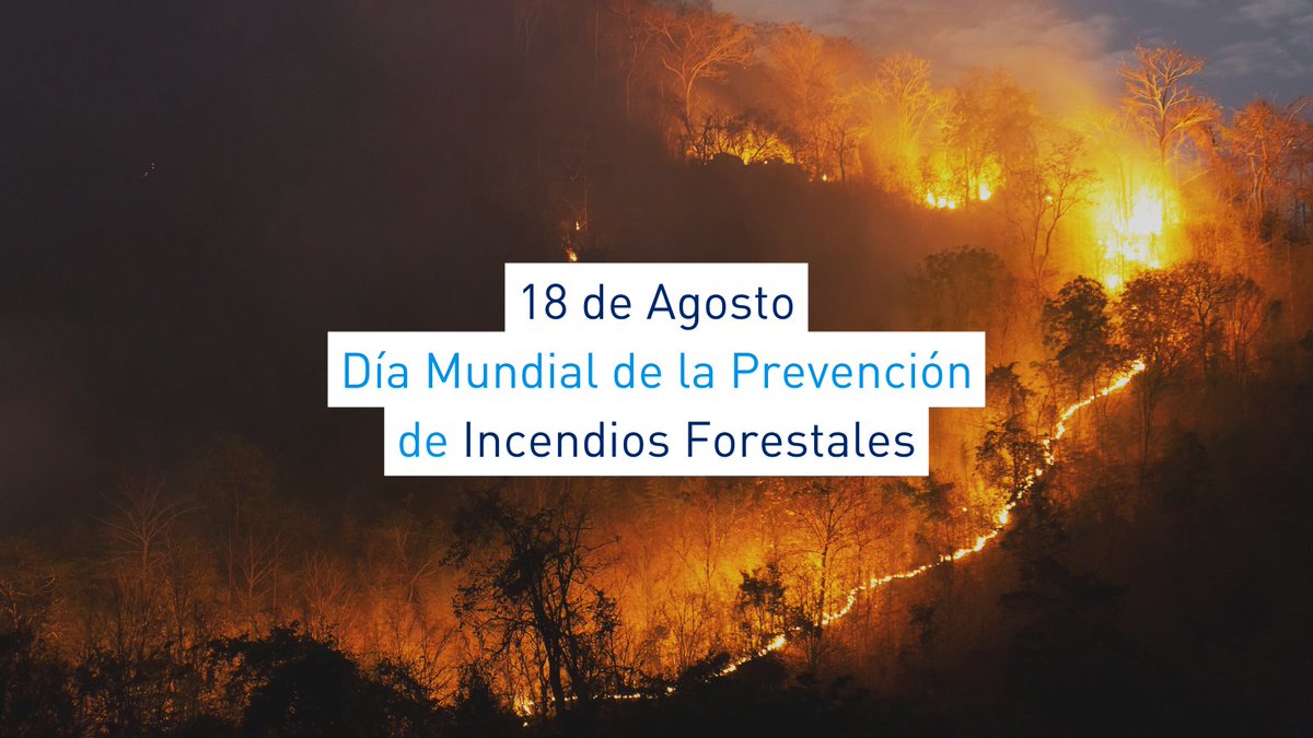 💧🔥 En el Día Mundial de la Prevención de Incendios Forestales, recordamos que los incendios no solo destruyen paisaje: amenazan vidas, recursos y biodiversidad.

En Aigües de Cullera defendemos la prevención:
🌾Protección áreas rurales
ℹ️ Concienciación
🌍Gestión del territorio