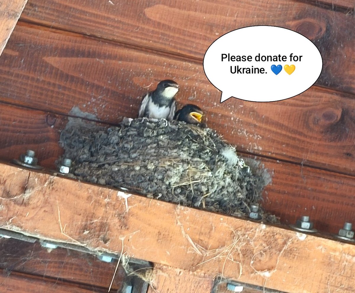 <a href="/Wolfytoine/">wolfytoine, same name on the other place</a> Let's keep supporting the defenders. 🙏🙏

x.com/Wolfytoine/sta…