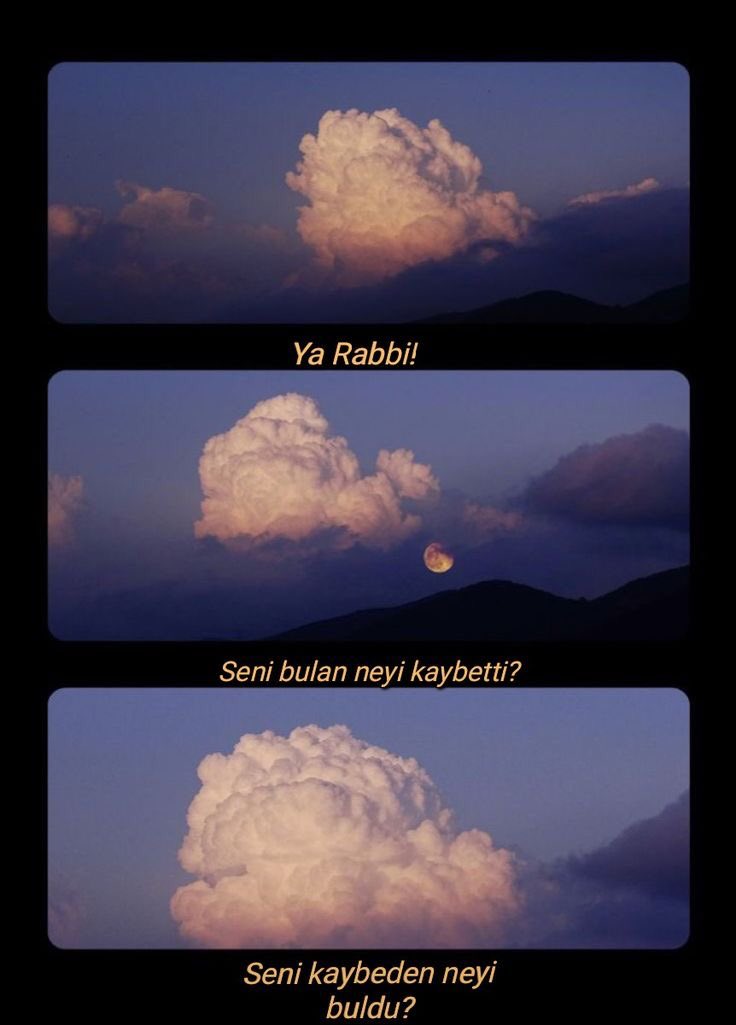 Monna Rosa (@ayaserenat) on Twitter photo 