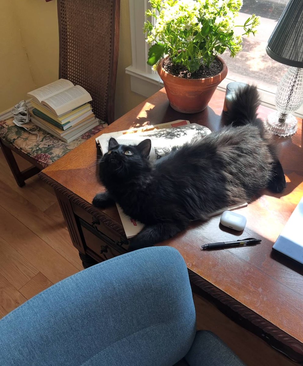 dhirghambasrah's tweet image. 