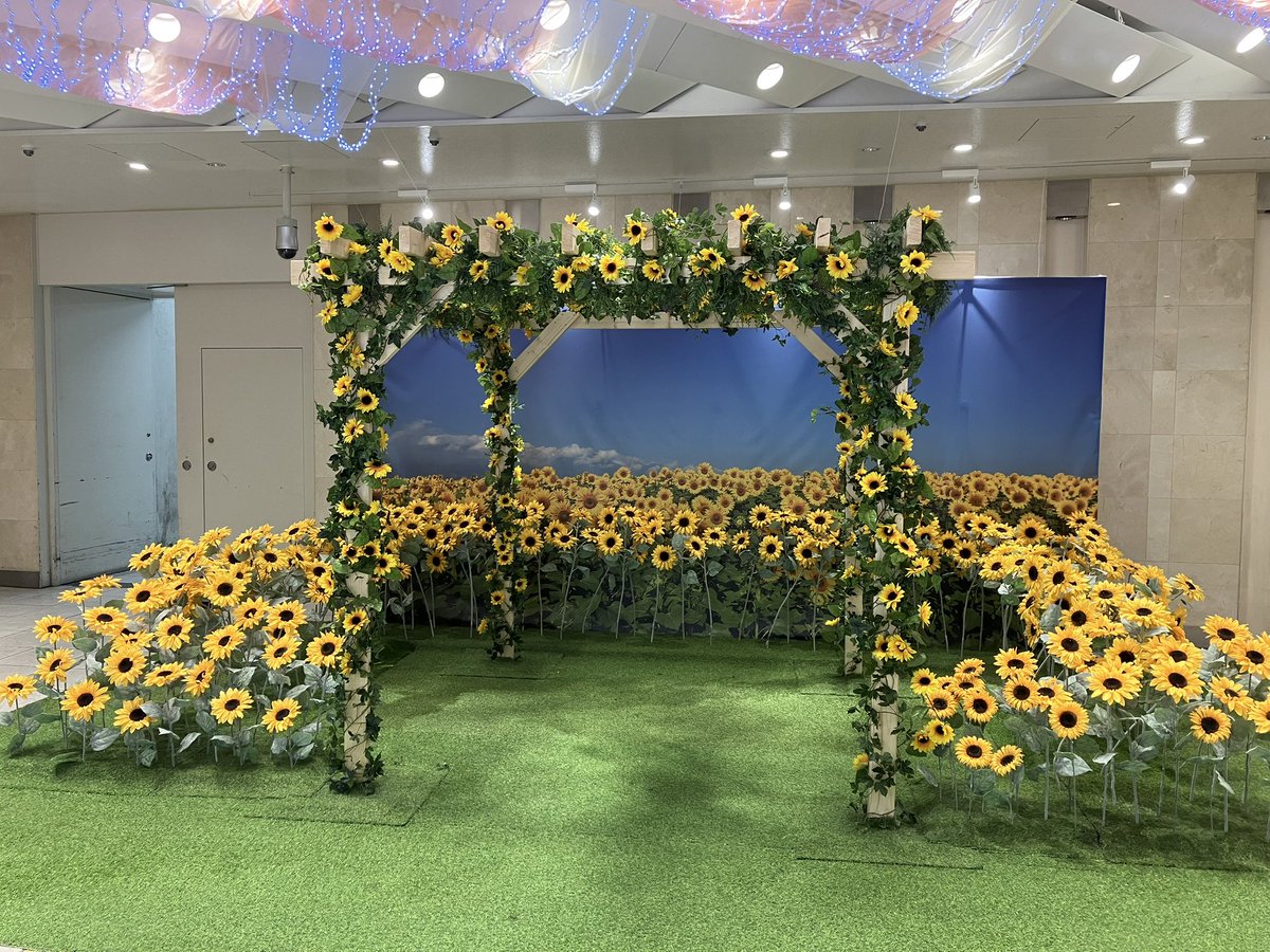 ひとう tweet media