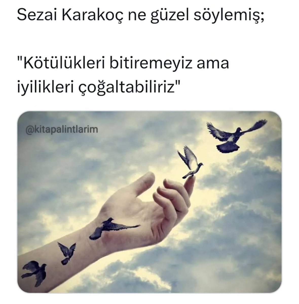 Metin Lütfi BAYDAR (@mlbaydar) on Twitter photo 