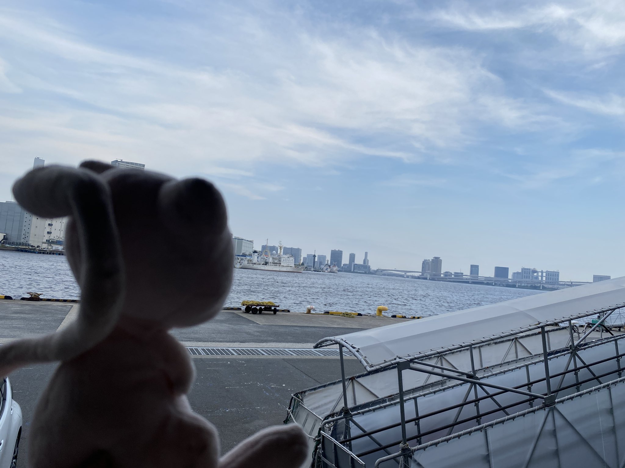 みうページ みゅうページ ミユ 様 Amazon.co.jp: Zex Zx Character