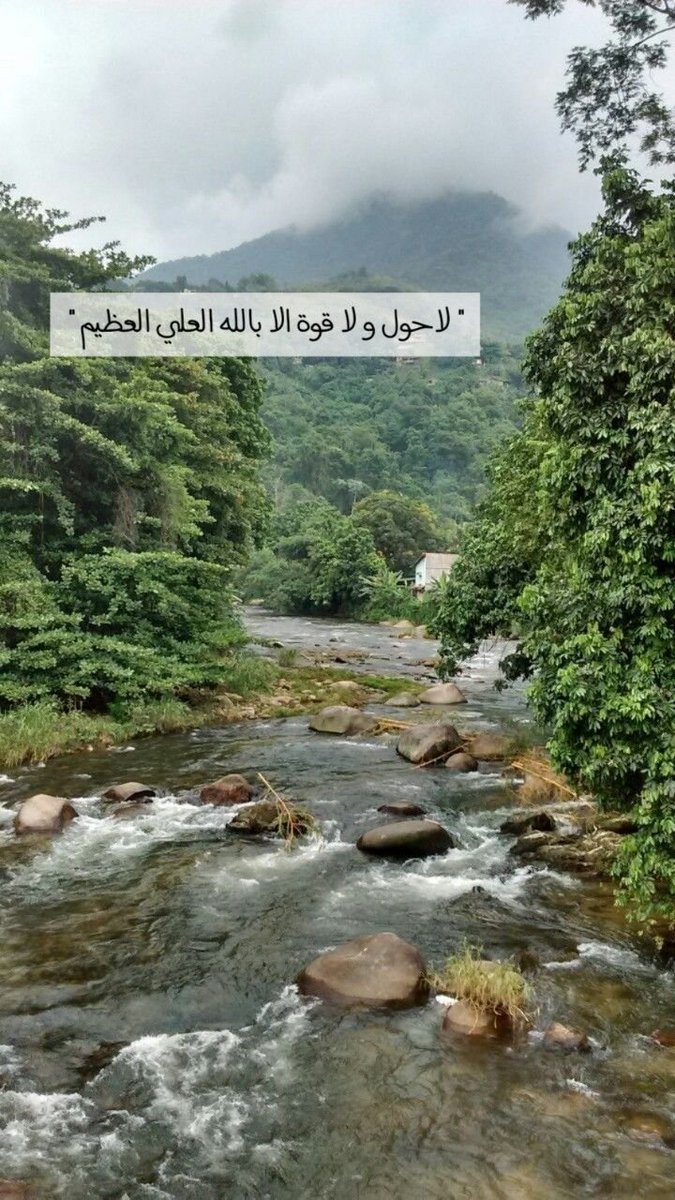 laylia_a's tweet photo. #صباح_الخير 
#السوبر_مجانًا_على_ثمانية https://t.co/KDw0ThCqWy