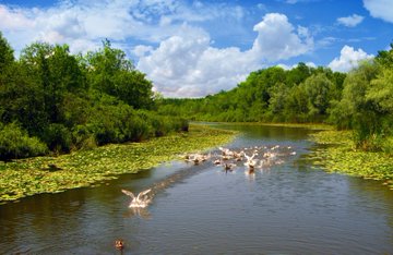 Sakarya’nın Güzellikleri Eşliğinde Mutlu Bir Hafta