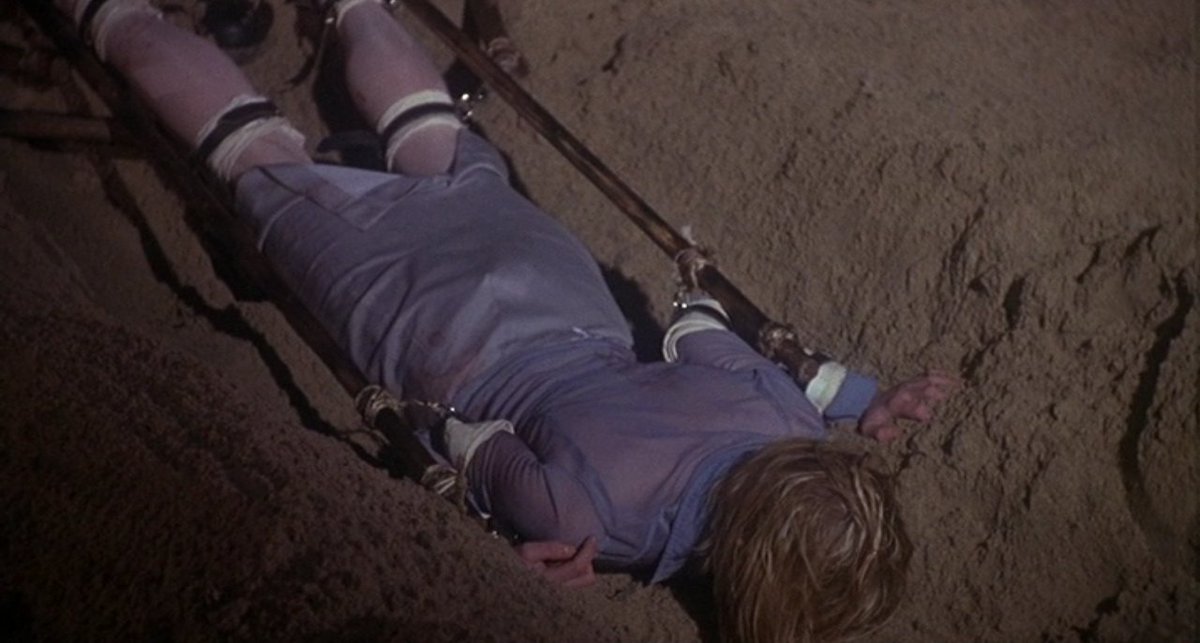 sis morphia tweet media