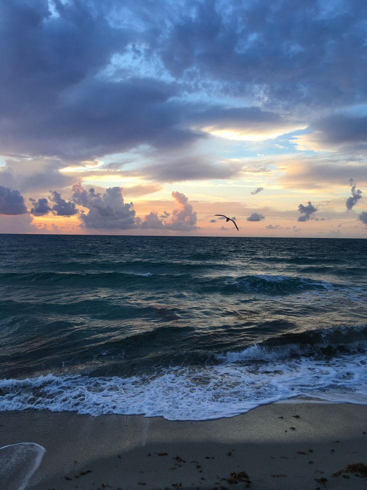 2025 (@2025pics) on Twitter photo 