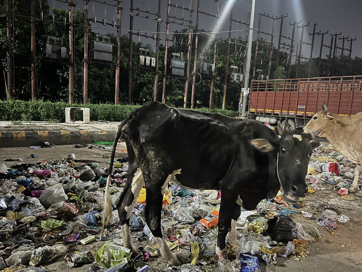 Sameer Singhal tweet media