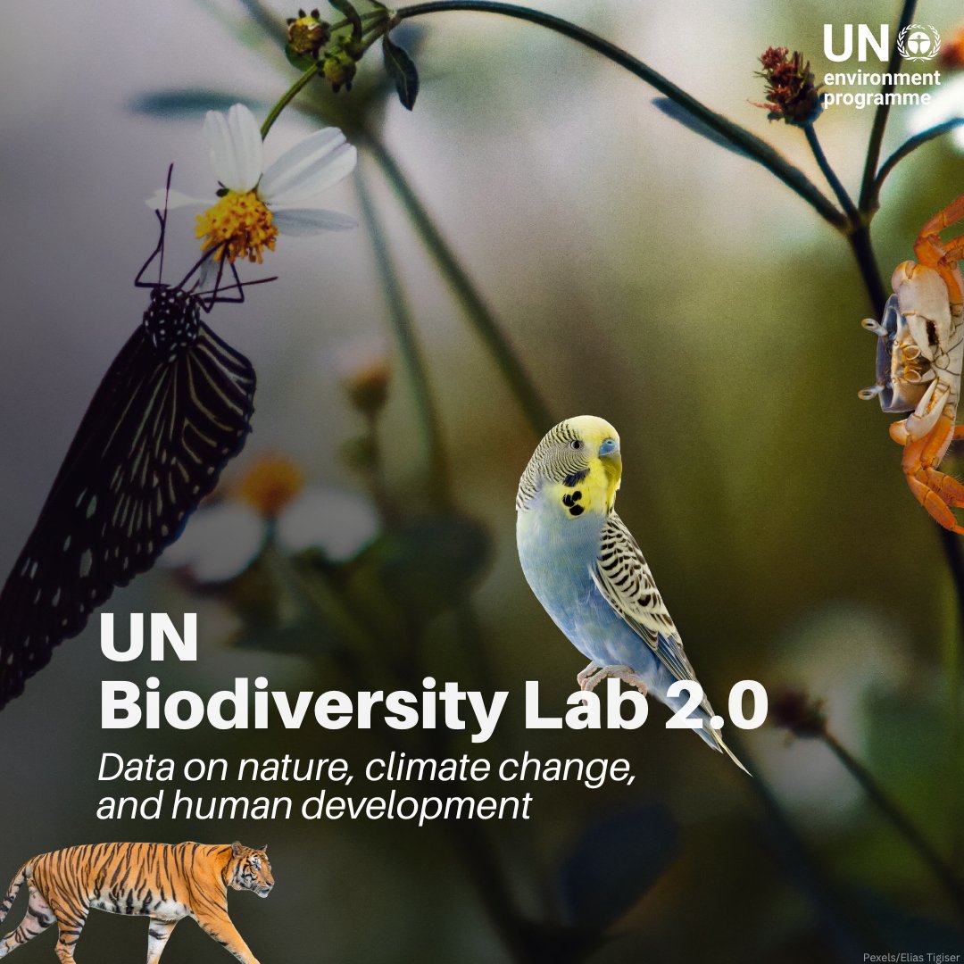 UNEP's tweet image. Looking for maps and data on nature, climate change and human development?
Explore the @UN Biodiversity Lab 2.0, a platform that provides insights on nature and on sustainable development: unbiodiversitylab.org/en/