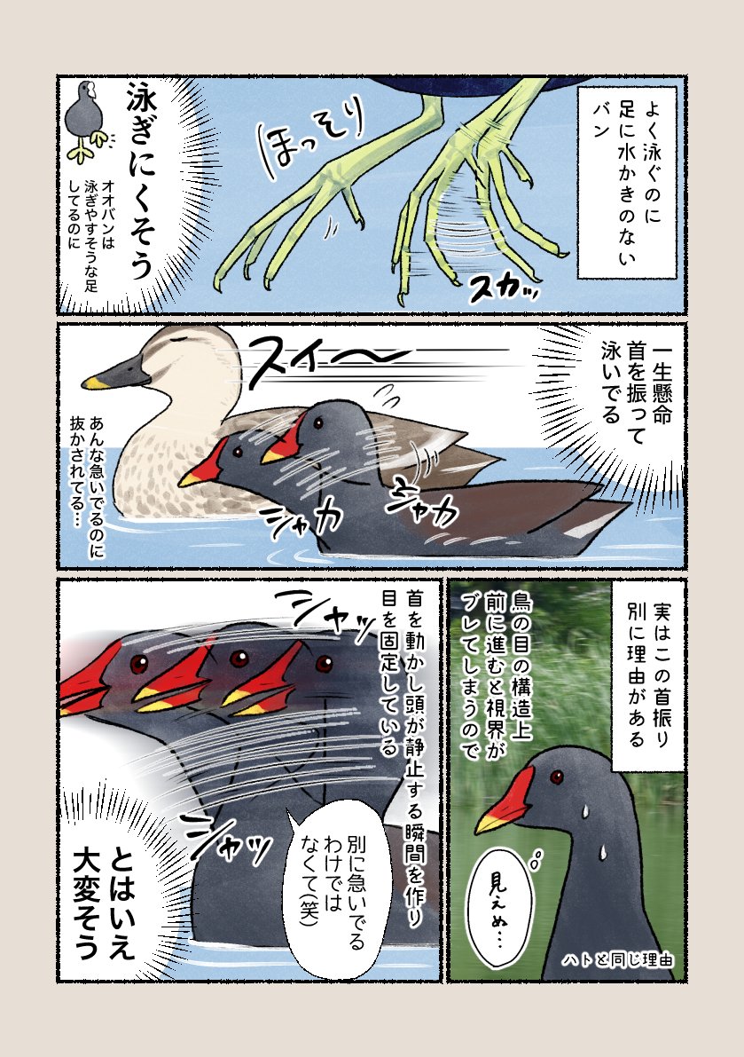 「大変そう」
 一生懸命首を動かすワケは…？