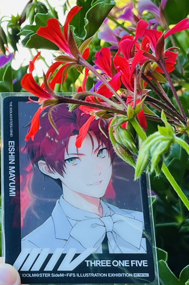 Namiページ♡⃜ 𝚖𝚢𝚊𝚖𝚒🎥 (@amyamimyume) / X