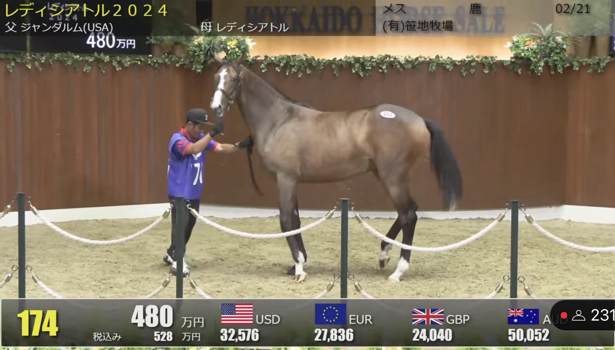 サマーセール - Search / X