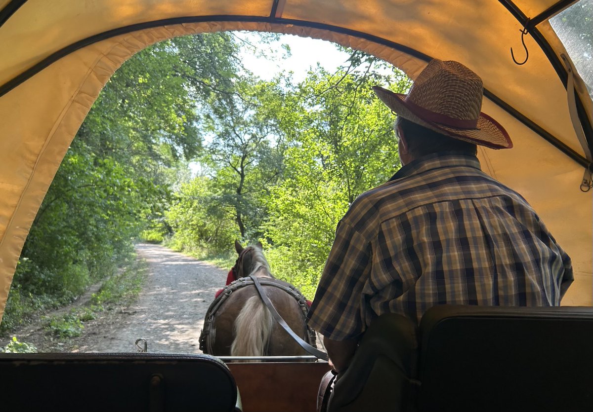 Dom Tulett tweet media