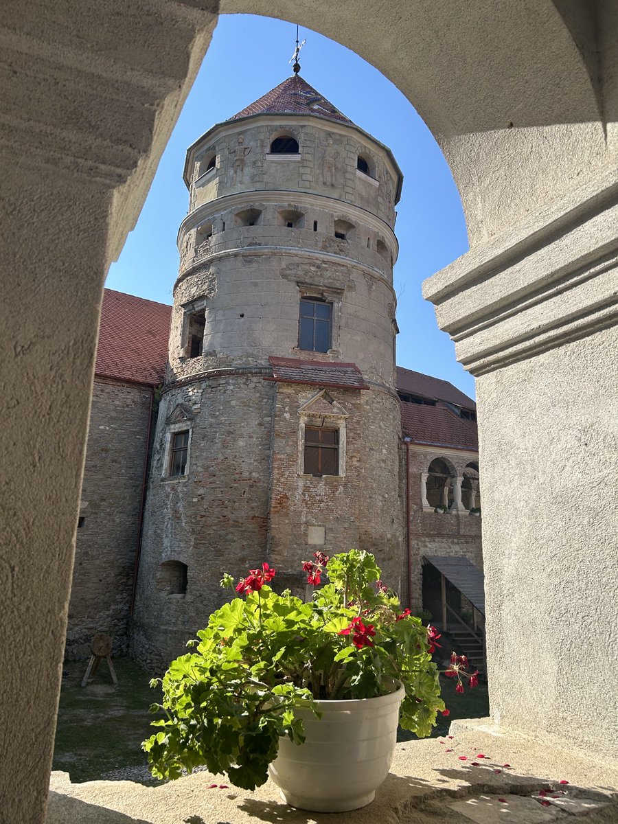 Dom Tulett tweet media