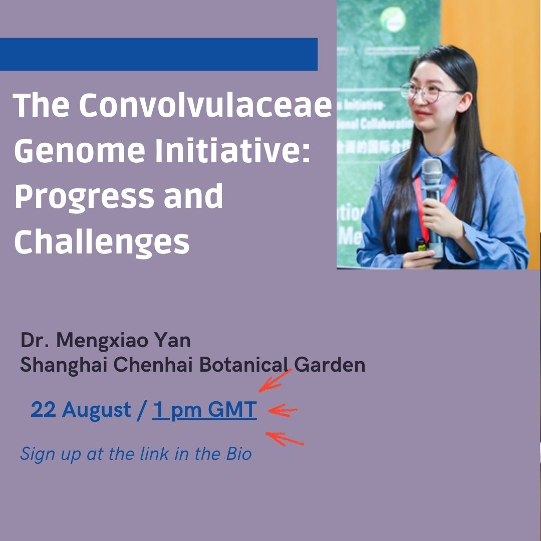 Convolvulaceae Network tweet media