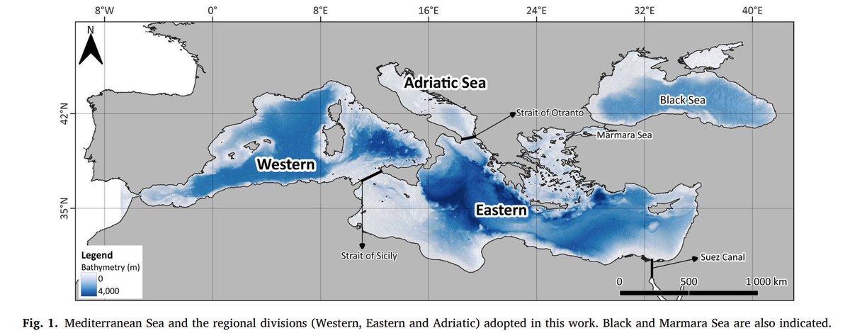 1️⃣ 🌊 The Mediterranean is a biodiversity hotspot, but also a witness to climate and human impacts over the last 130,000 years. 

We conducted a systematic review to understand how these changes affected marine mammals, fish, and molluscs.

<a href="/ICMCSIC/">ICM-CSIC</a>

#DanielaLeal