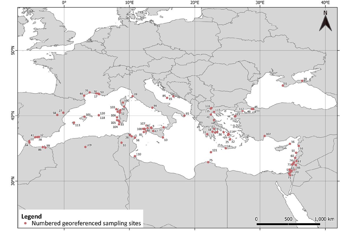 iMARES_group's tweet image. 5️⃣ 🗺️ Data is concentrated in coastal areas of the Western and Eastern Mediterranean. The Adriatic, Black, and Marmara Seas are less represented.

#SpatialDistribution #MarineData