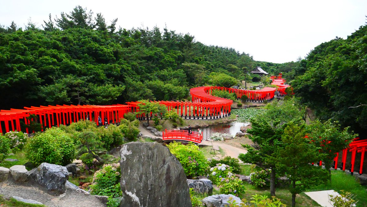 ichiro_matrix's tweet image. ・・
岩木山神社から1時間ほど
日本海に向けてひたすら疾走すると
『高山稲荷神社』があります

日本庭園のなかにたくさんの鳥居が連なり
とっても幻想的です

#青森
#高山稲荷神社
#高山稲荷神社千本鳥居 
#高山龍神宮 
#御朱印
#神旅
