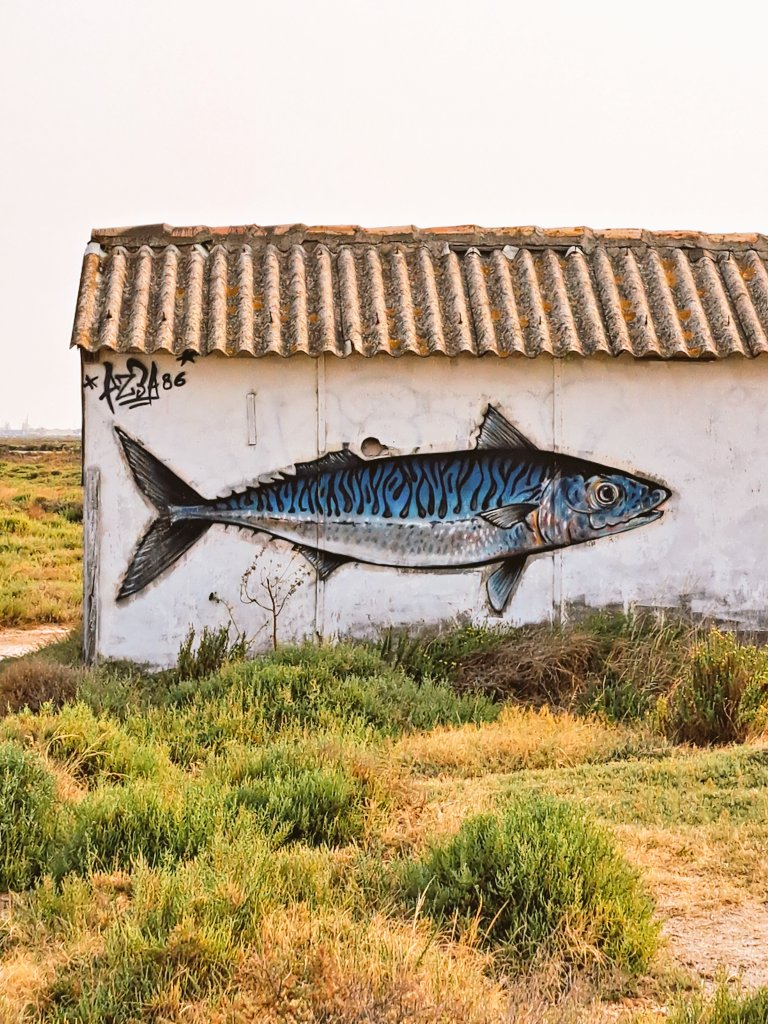 Le village de pêcheurs Gruissan (#Aude)