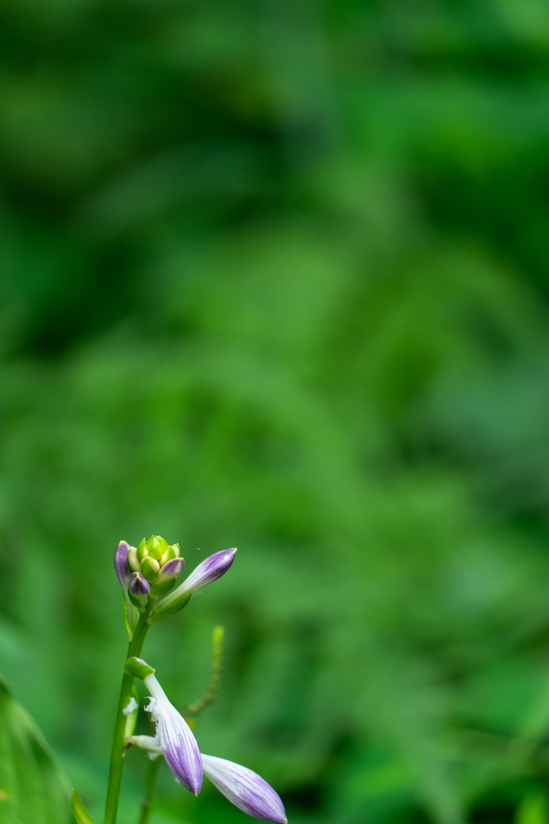 yuka1093's tweet photo. 【東京カメラ193歩】配信中!
PGYTECH #CameraStrapPro と一緒に大都会の大自然スナップ😊📷🦋
YouTube▶️ https://t.co/dkd9SpK2wM
#pgytech #camerastrap
#写真好きな人と繋がりたい
#写真撮ってる人と繋がりたい https://t.co/rDAcOKFPwA