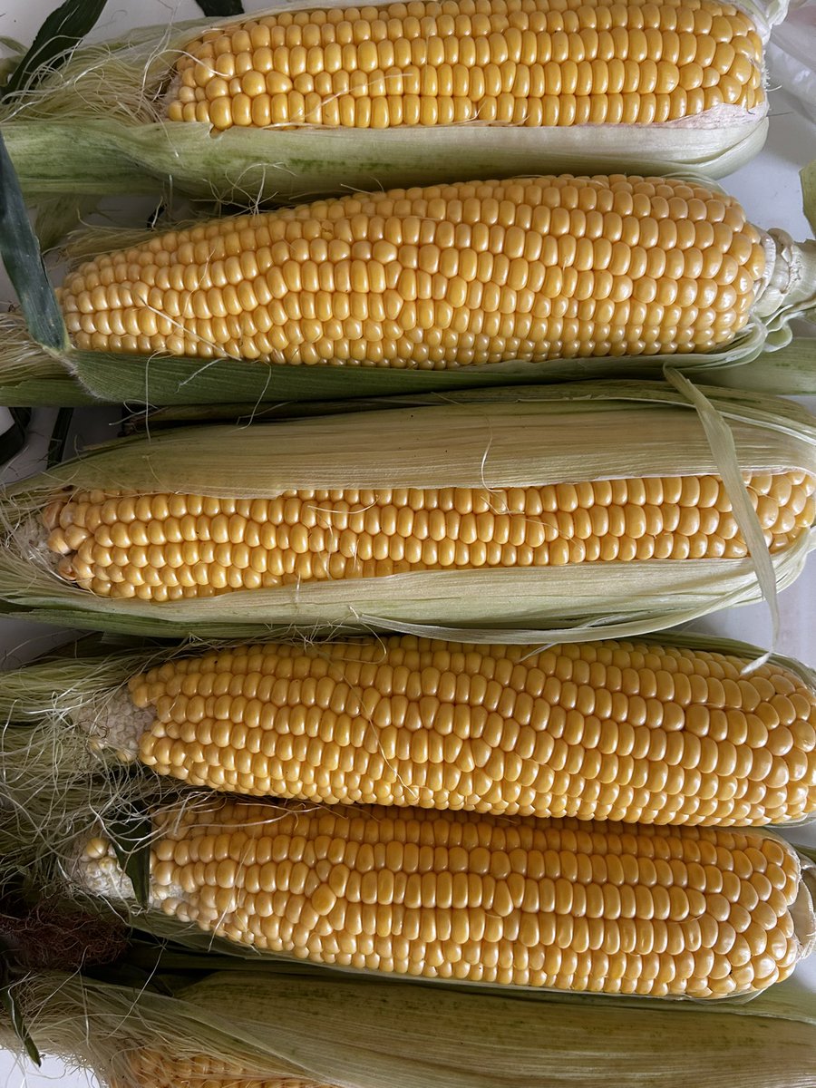 Невигадані історії, про які не можна мовчати: вчора знайшли на ярмарку кукурудзу по 12 (ДВАНАДЦЯТЬ) гривень!