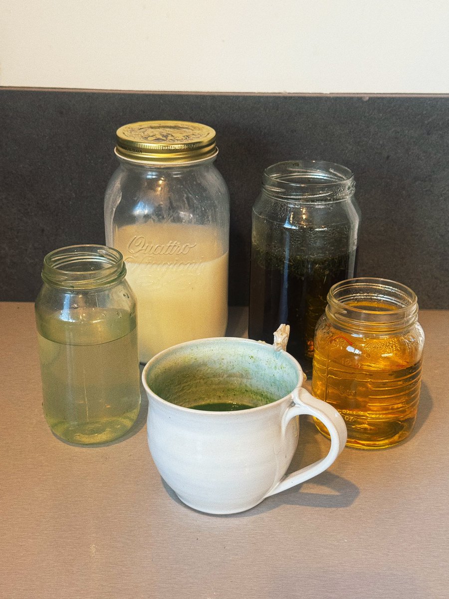 ⚡️🌞 Sol Brah 🌞🐬 tweet media