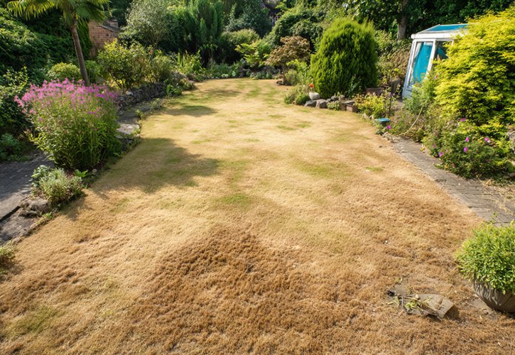 Insight DIY (@insightdiy) on Twitter photo .<a href="/TravisPerkinsCo/">Travis Perkins</a> discusses extreme temperatures and the impact on UK gardens
insightdiy.co.uk/news/travis-pe… #gardens #gardening #heatwave #weather #landscaping #extremeweather .<a href="/TravisPerkinsCo/">Travis Perkins</a> discusses extreme temperatures and the impact on UK gardens
insightdiy.co.uk/news/travis-pe… #gardens #gardening #heatwave #weather #landscaping #extremeweather