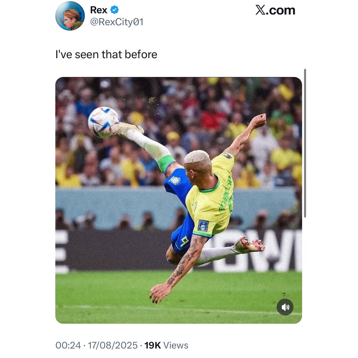 thfcrealm's tweet photo. ⚪️X reacts to THAT goal by Richarlison 🐤🇧🇷

🤯Still not over that goal and result… we NEED to push on and use this win to get through City

🤍We love playing in Manchester anyway 🙂

🤝Enjoy the content? Please like the post and follow the page! 

#thfcrealm #spurs #richarlison https://t.co/RZSGVdWfpX