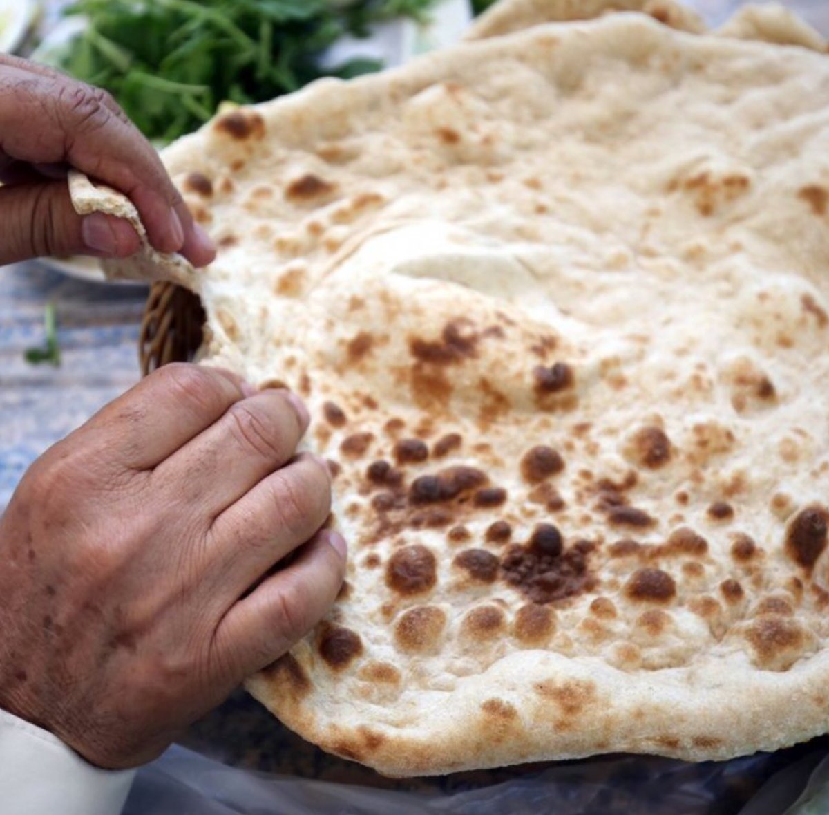 س: هل يوصل الخبز كامل ام لا    !؟      قولو الصج🤪👌