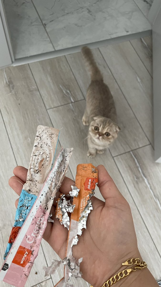 c2 seviye mama bagimliligi