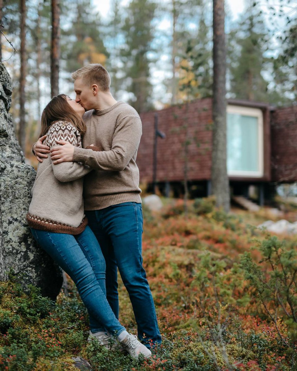 Arctic TreeHouse Hotel tweet media