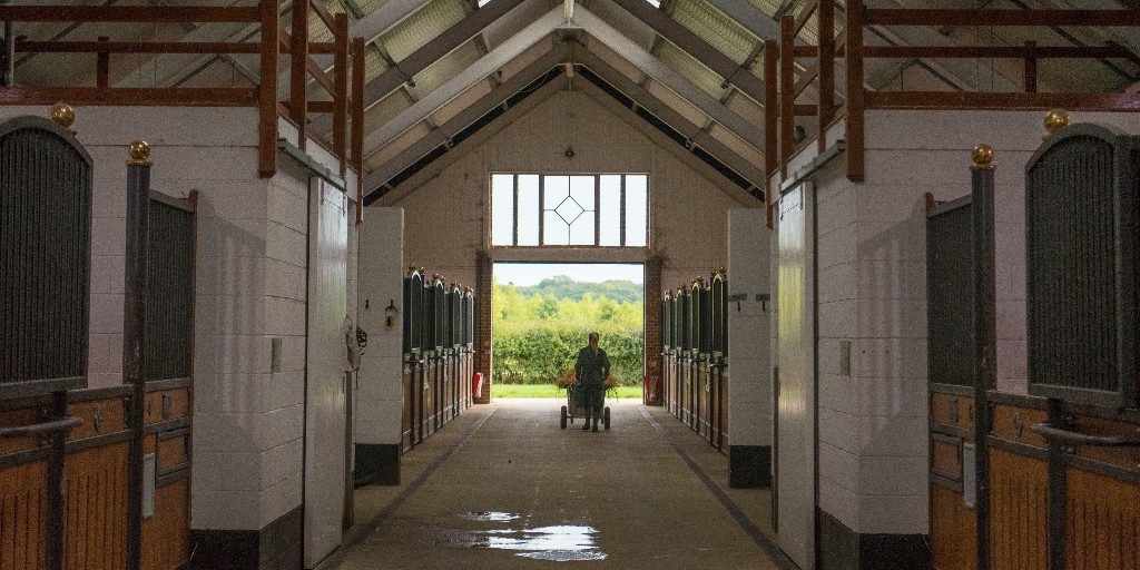 The Thoroughbred Breeders’ Association (The TBA) tweet media