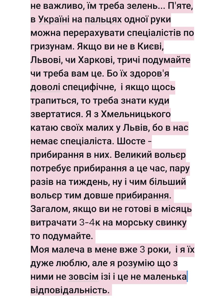 feerelina's tweet photo. @ellli_li_li Морські свинки - це не невибаглива тваринка як пишуть, це дорого!Я маю двох. Перше, краще заводити двох, і одночасно, вони дуже соціальні тваринки, тому якщо буде одна, вона буде сумувати як мінімум, і краще брати однополих якщо не плануєте розводити. Хлопчики мають залозу біля👇 https://t.co/8ZwZ5MCo8a
