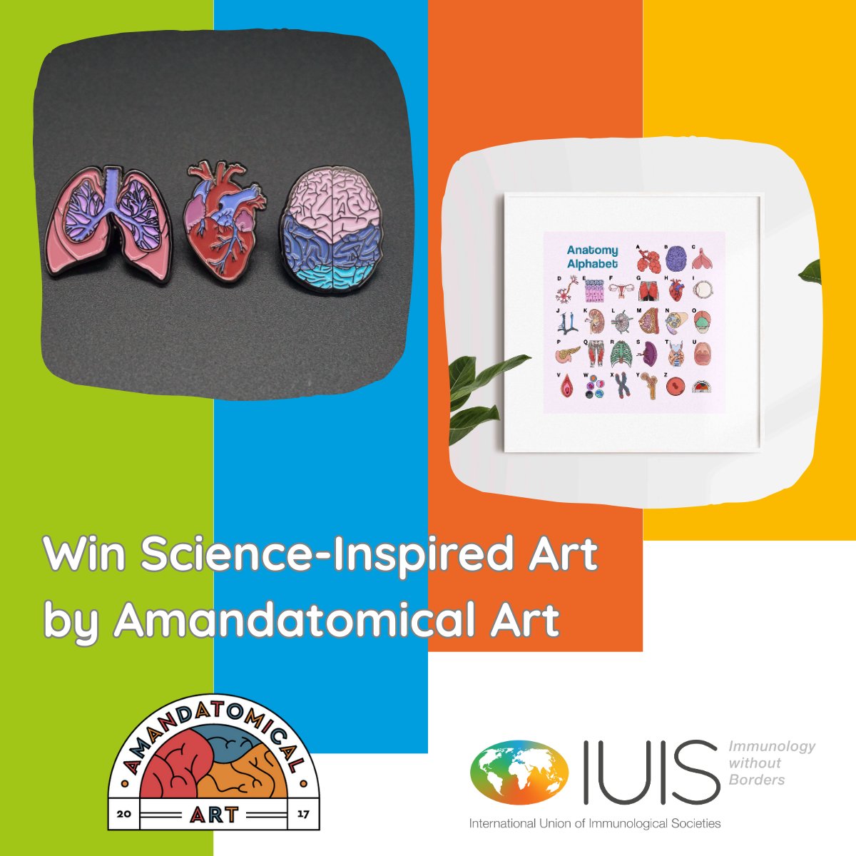 iuis_online's tweet photo. AmandatomicalArt is giving away some of her beautiful pins, stickers & prints!
1. Take a photo at the #IUIS booth
1. Use #IUIS2025 — without it, we can’t find your entry!
📅 Raffle runs 19–21 Aug
🕒 Entries close daily at 16:00 — winner announced at the booth & on our socials. https://t.co/qE0irNuZiR