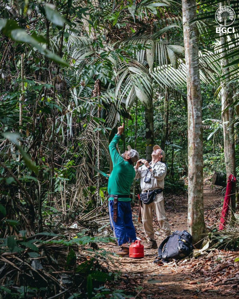 BGCI and The New York Botanical Garden have launched a global survey to better understand and amplify the role of botanical gardens in ecological restoration. 

Access the survey here: buff.ly/1zwks8n before August 29, 2025 

#NurturingNature #EcologicalRestoration <a href="/NYBG/">New York Botanical Garden</a>