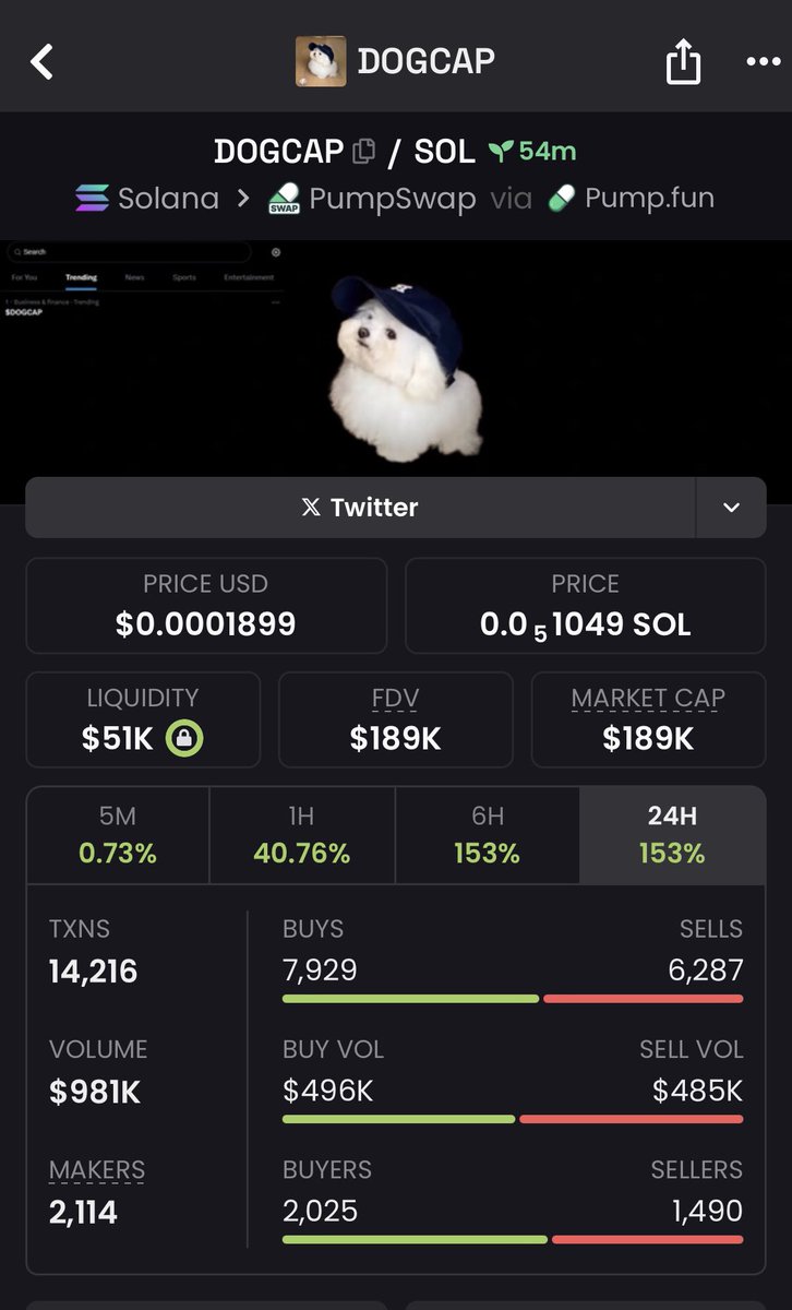 kingzhou30's tweet photo. @yourcryptodj Let see non-tokenized ticker hit #1 on X's Finance trends?

The backstory: The $DOGCAP ticker tied to this image skyrocketed to #1 in Business &amp; Finance on @X out of the blue, without any coin existing.

Just one adorable dog. 🐕🐕

BXTVh378G66hgQQkhNXYzaNAoho4pvkDpoBRqdaepump https://t.co/54BhiTPTka