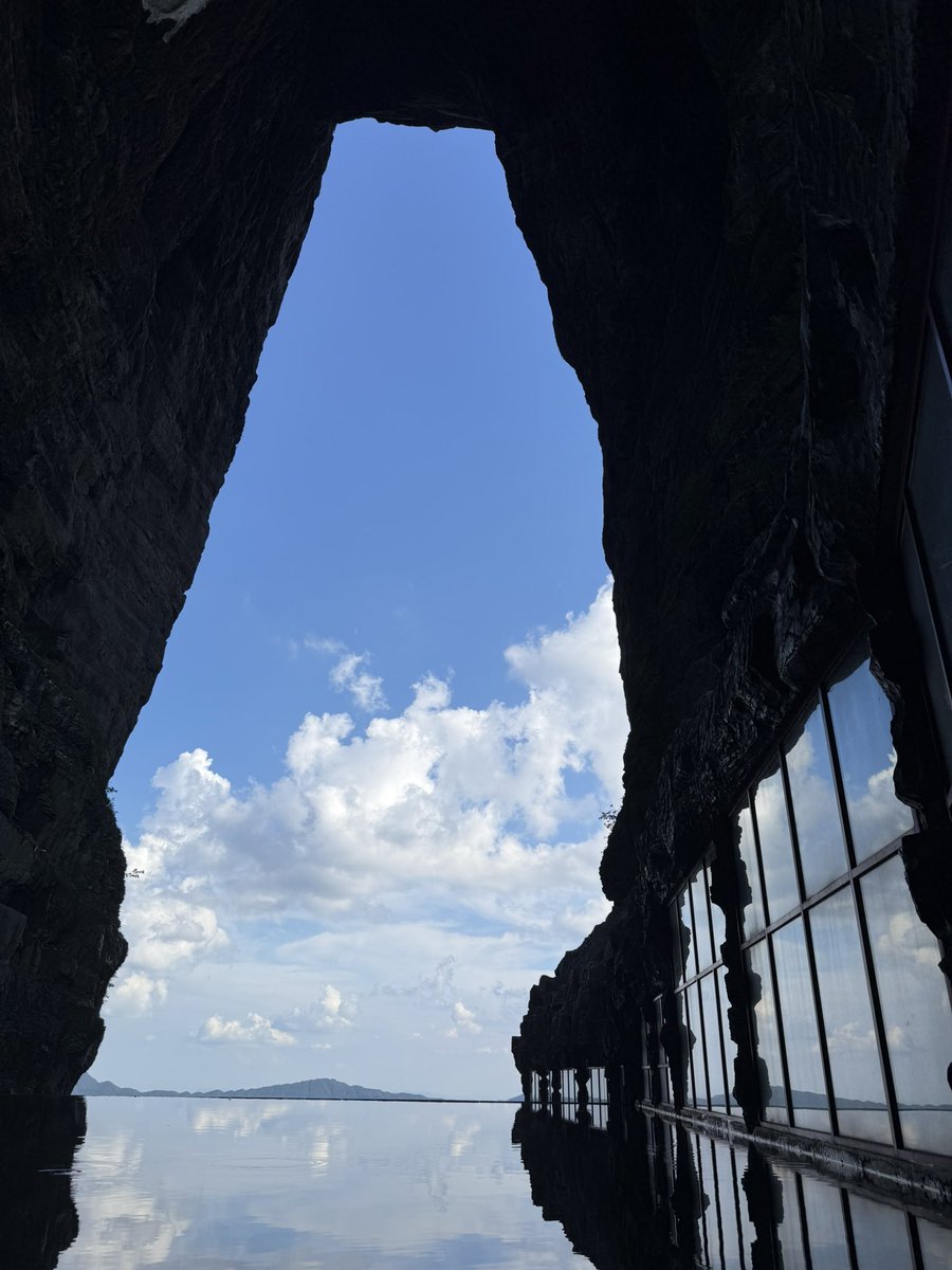 金主姐姐（喜欢体育生版） tweet media