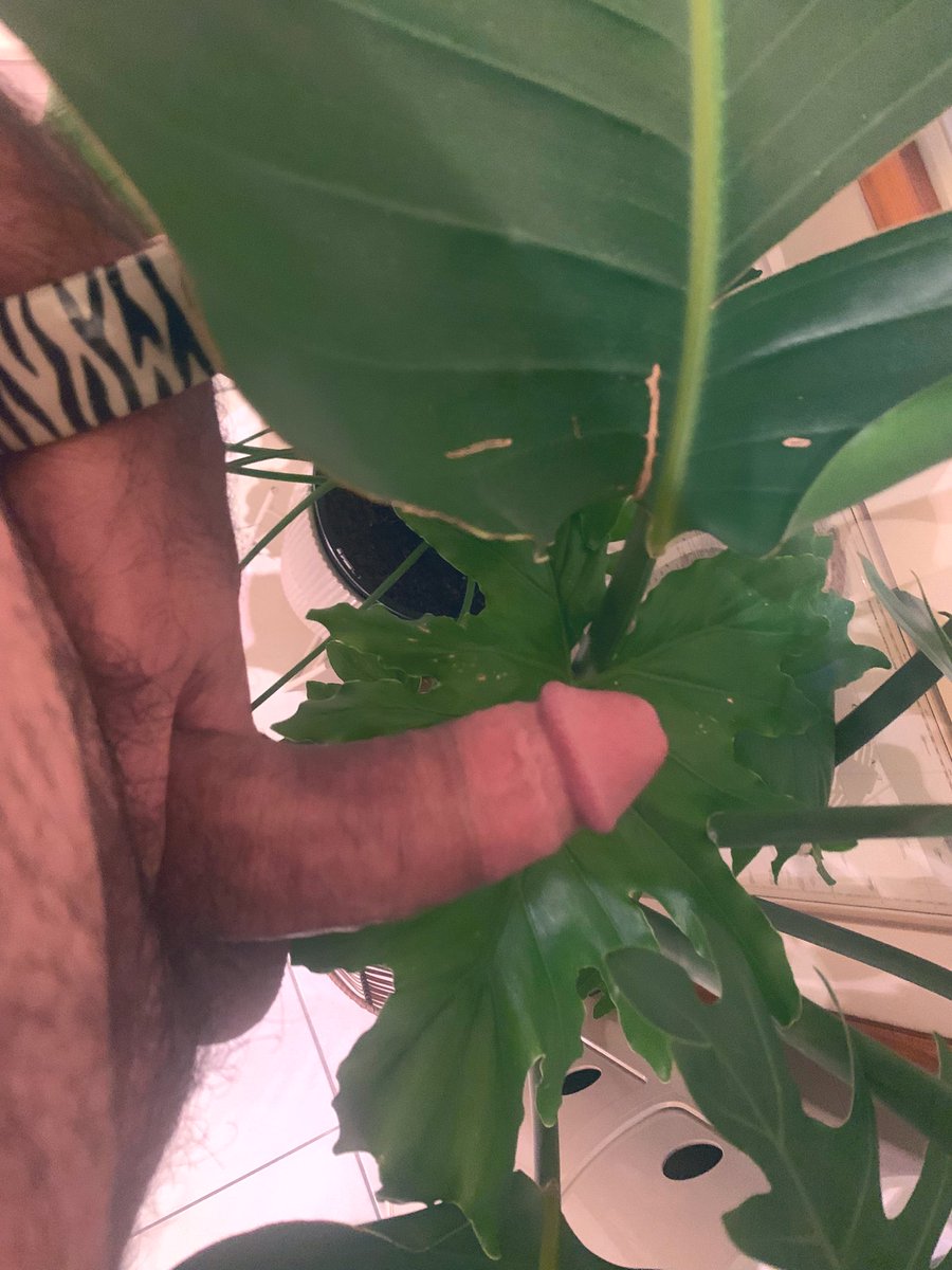 Cock in Bush! 😁😜