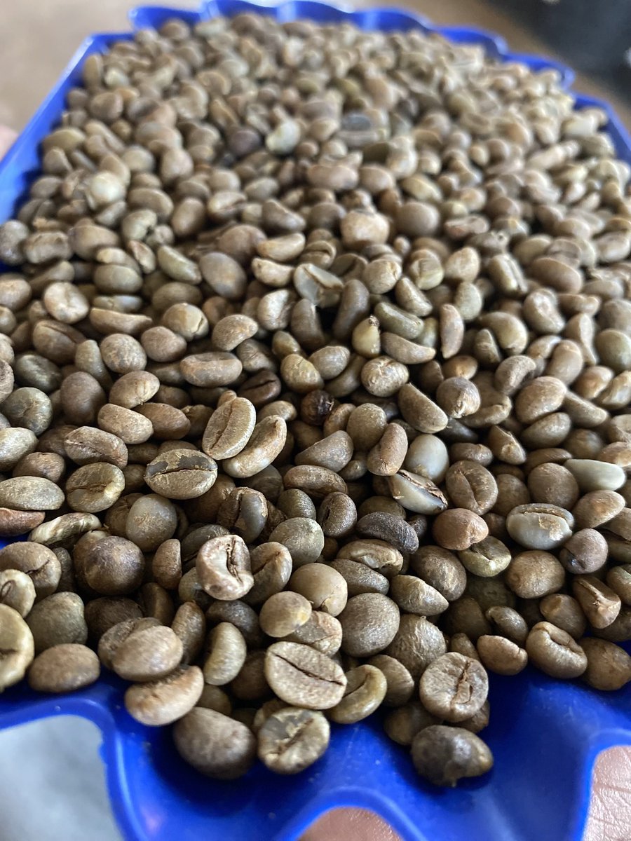 Dear Friends on this app . Please kindly note that I sell coffee and cocoa . I have a capacity of over 200 tons per week . I have my export license ready , rainforest alliance , organic farming and fair trade certificates too so kindly recommend me for those big business deals