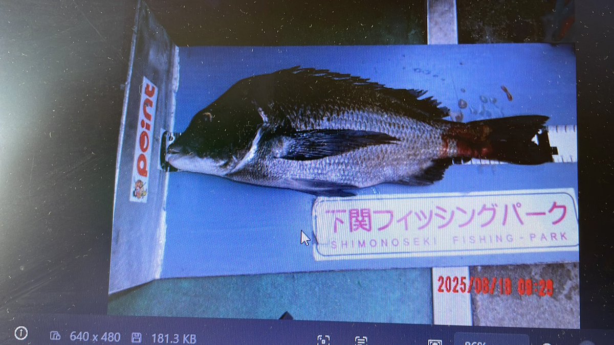 久しぶりの投稿です。本日も晴天に恵まれました。ウィークデー、少人数でも釣果はまずまず。