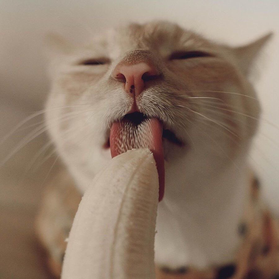 Valen #BAGJAWAVE tweet media