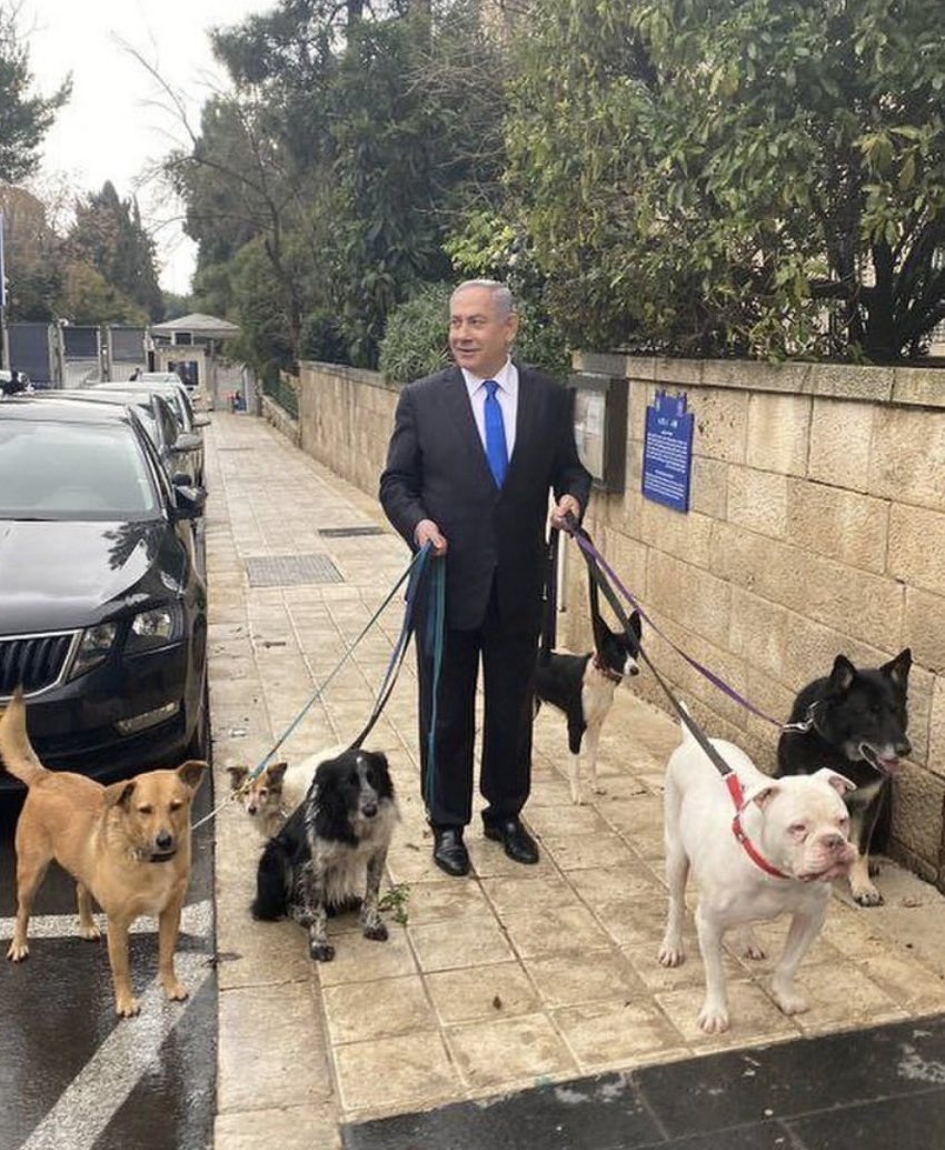 نحو الحرية tweet media