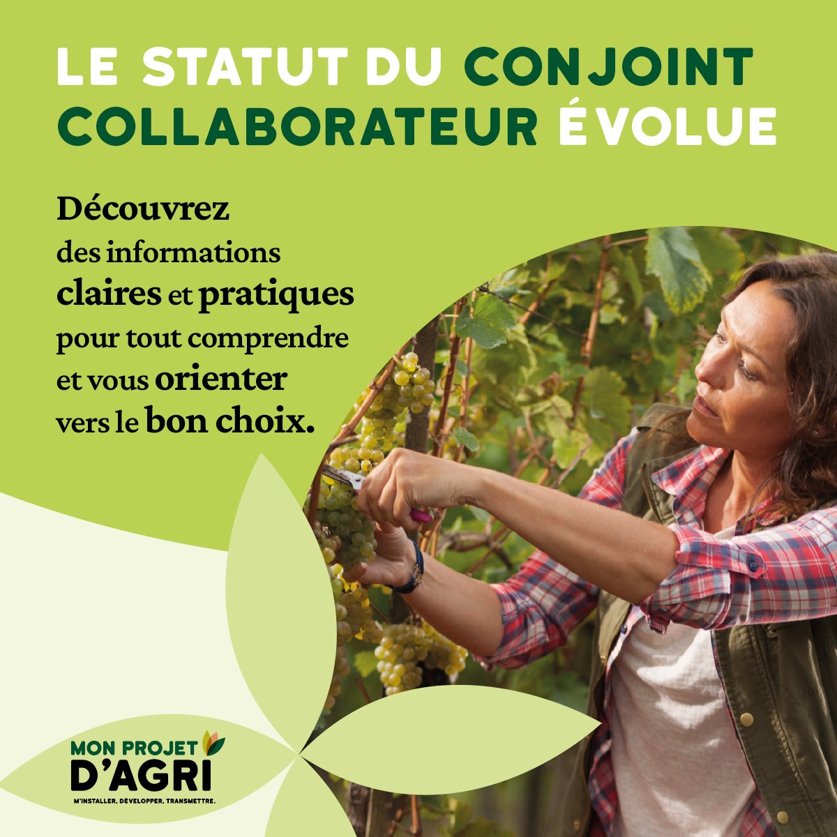 👩‍🌾👨‍🌾 Le statut de conjoint collaborateur est désormais limité à 5 ans.
Pour les personnes affiliées au 1er janvier 2022 ou antérieurement, ce statut prendra fin automatiquement le 31 décembre 2026.
▶️ Un changement à anticiper dès à présent : choix d’un nouveau statut (salarié,