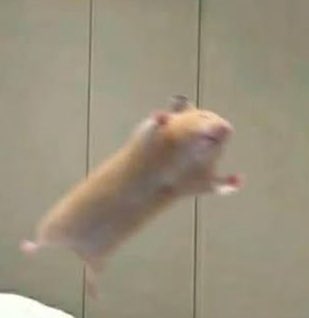 namujjinie's tweet photo. It’s him 😭 https://t.co/4dUyymgLyp