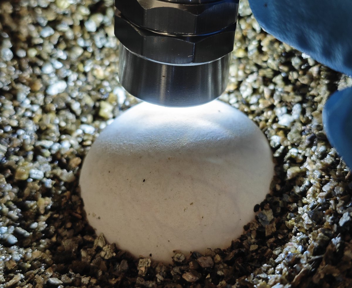 Senator Hotels & Resorts tweet media