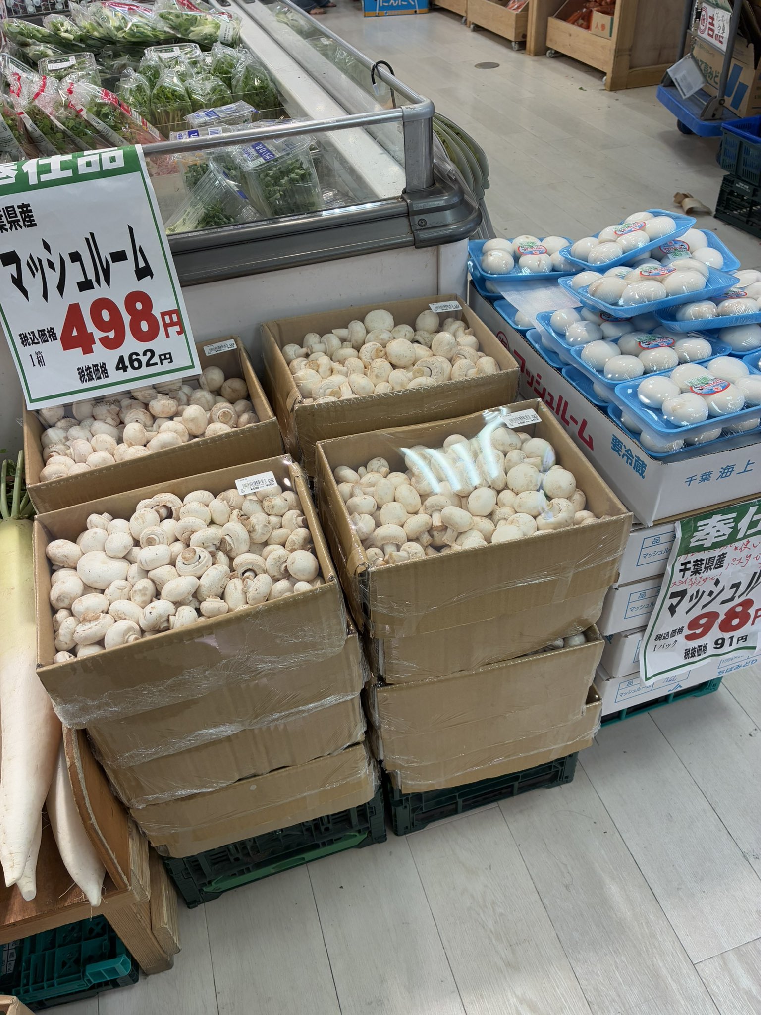 キャンディーズマッシュルーム 本体のみ箱あり 吉池 on X: 