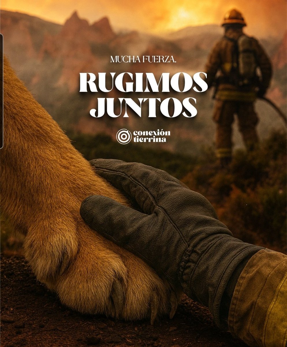 León ruge contra los incendios, todos juntos para defender lo nuestro
#leonesp #incendios