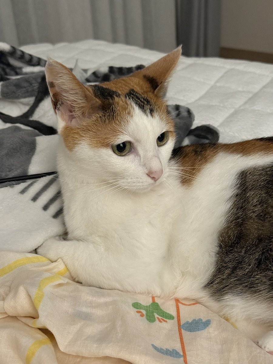 어젯밤의 예뽀니