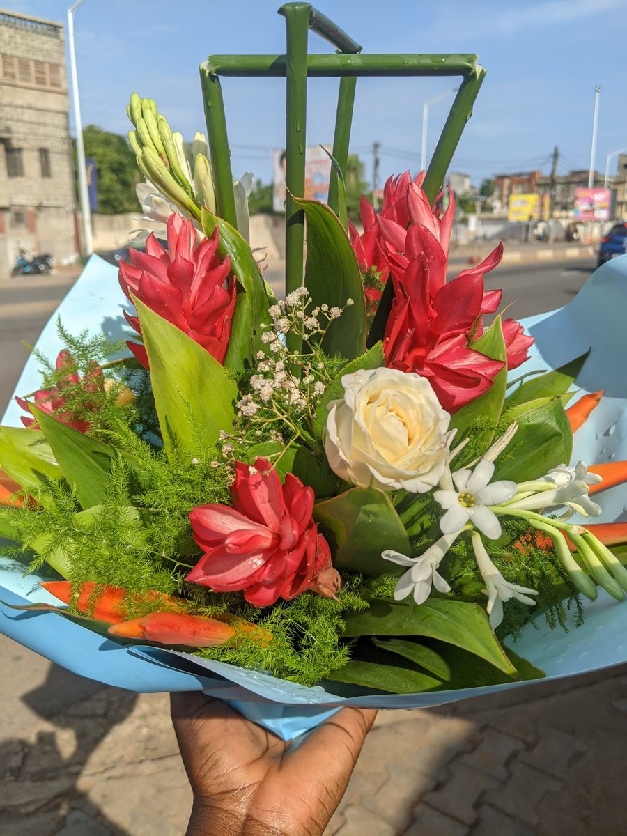 Le pétale🌹 tweet media